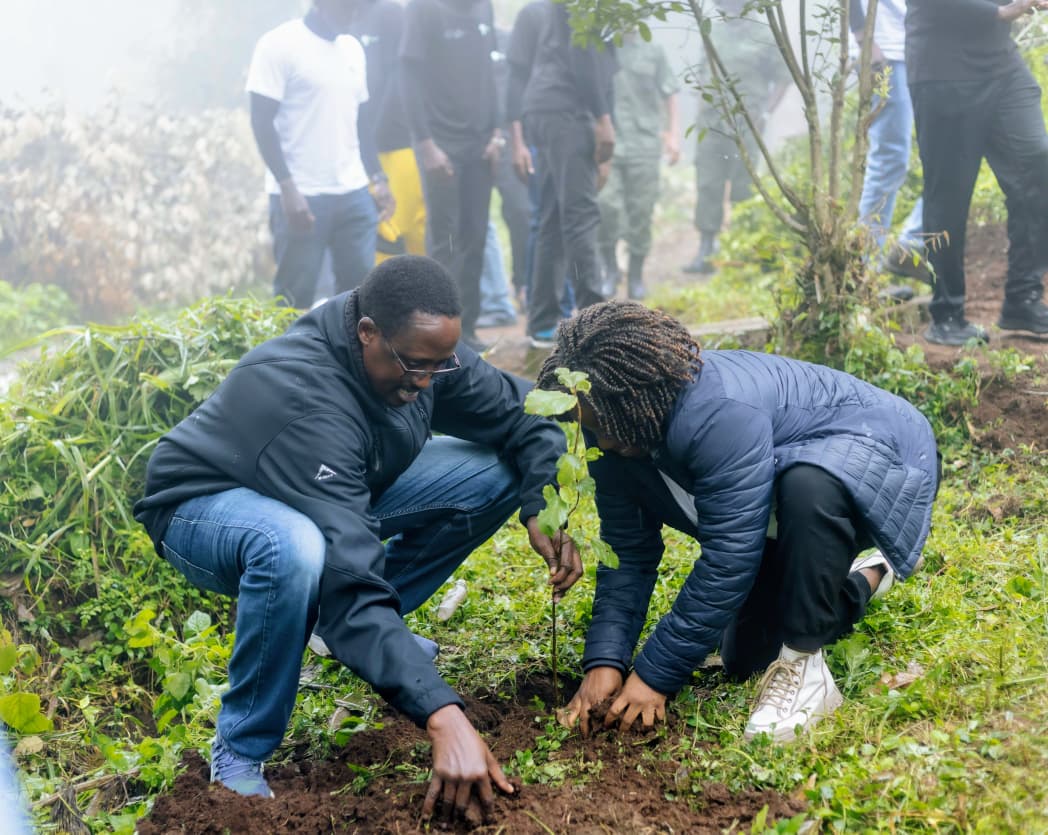 Tanzania boosts efforts to restore Mount Kilimanjaro