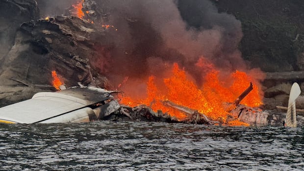 Bystanders Save All 11 on Seaplane Crash Near B.C.-Washington Border