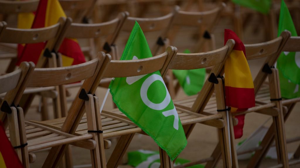 Vox Blames Ideological Factors for Forest Fires in Spain
