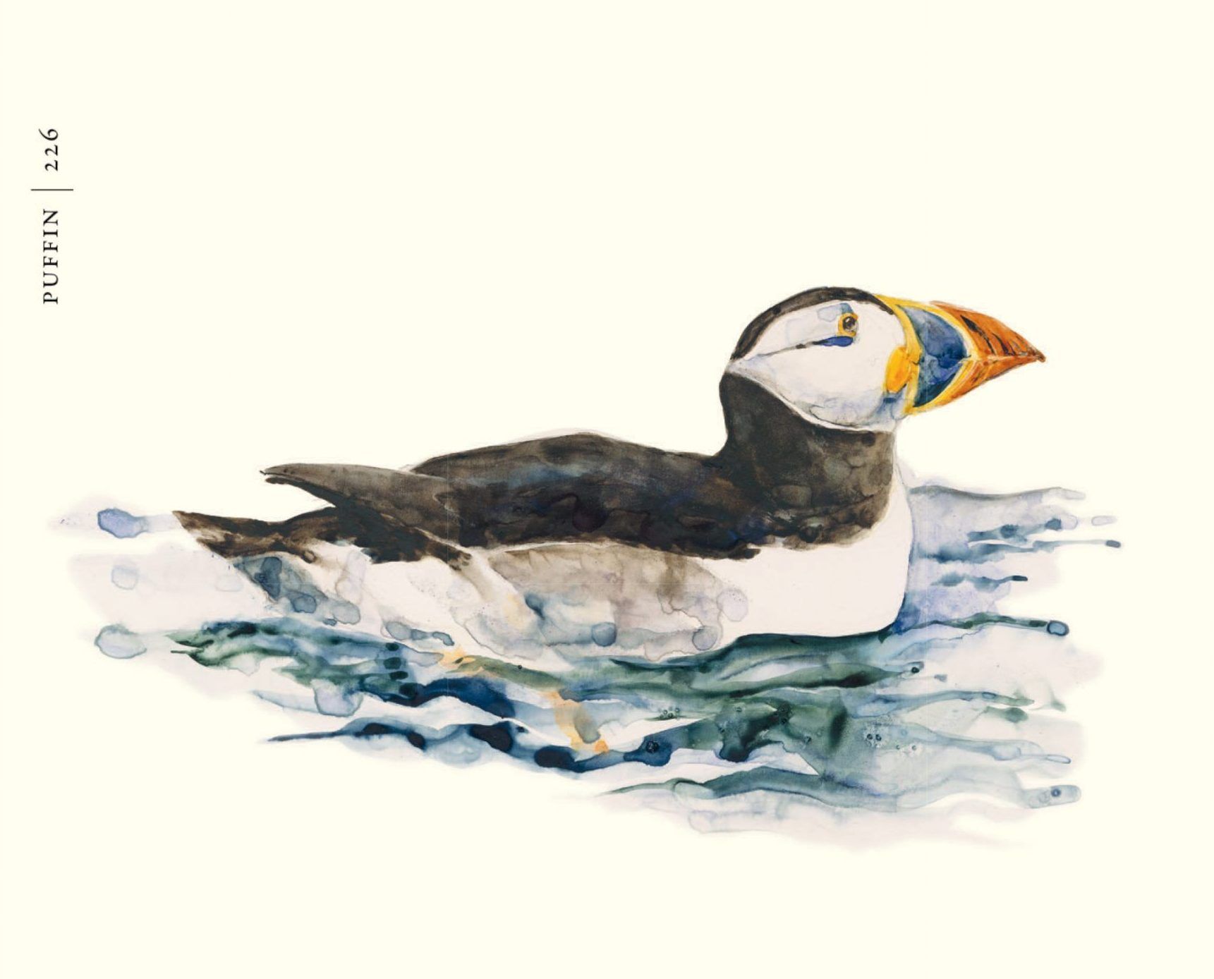 Robert Macfarlane and Jackie Morris Explore Bird Migration and Conservation in New Book