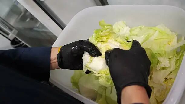 Guía para limpiar y desinfectar verduras como la lechuga para prevenir enfermedades