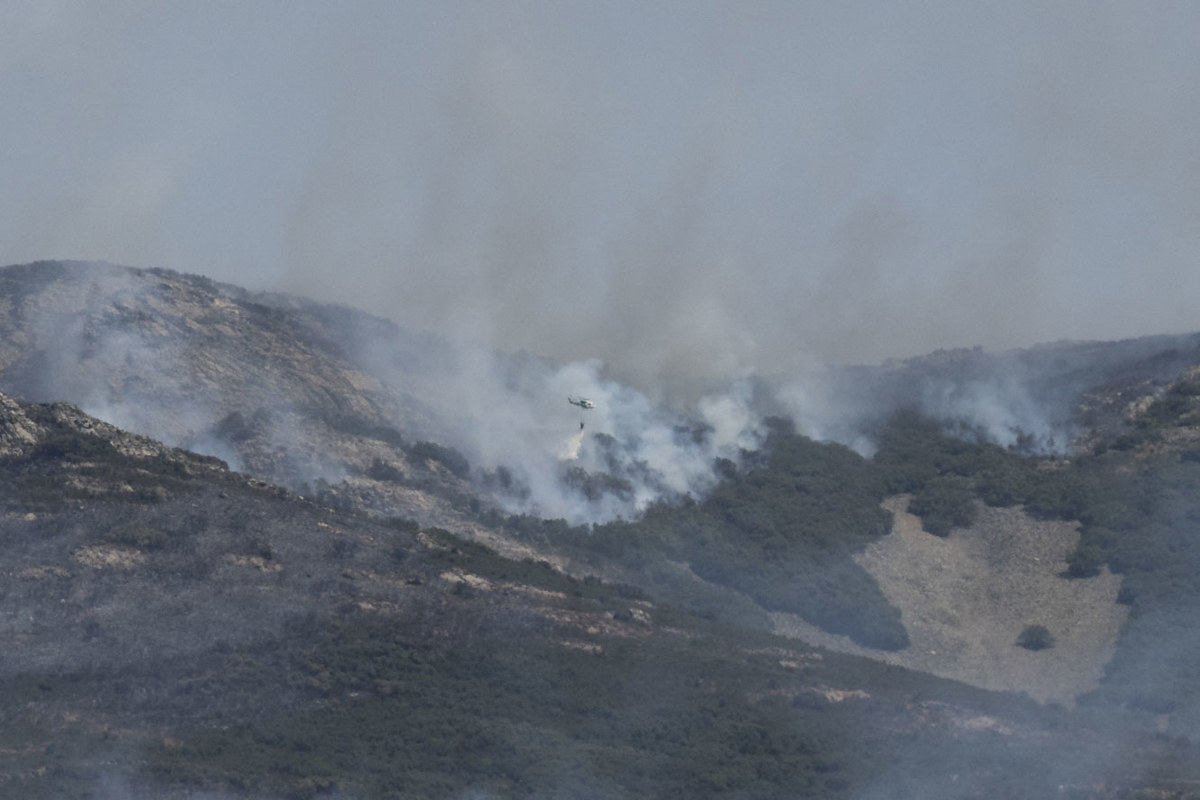 Incendios forestales destruyen 126,000 hectáreas en España