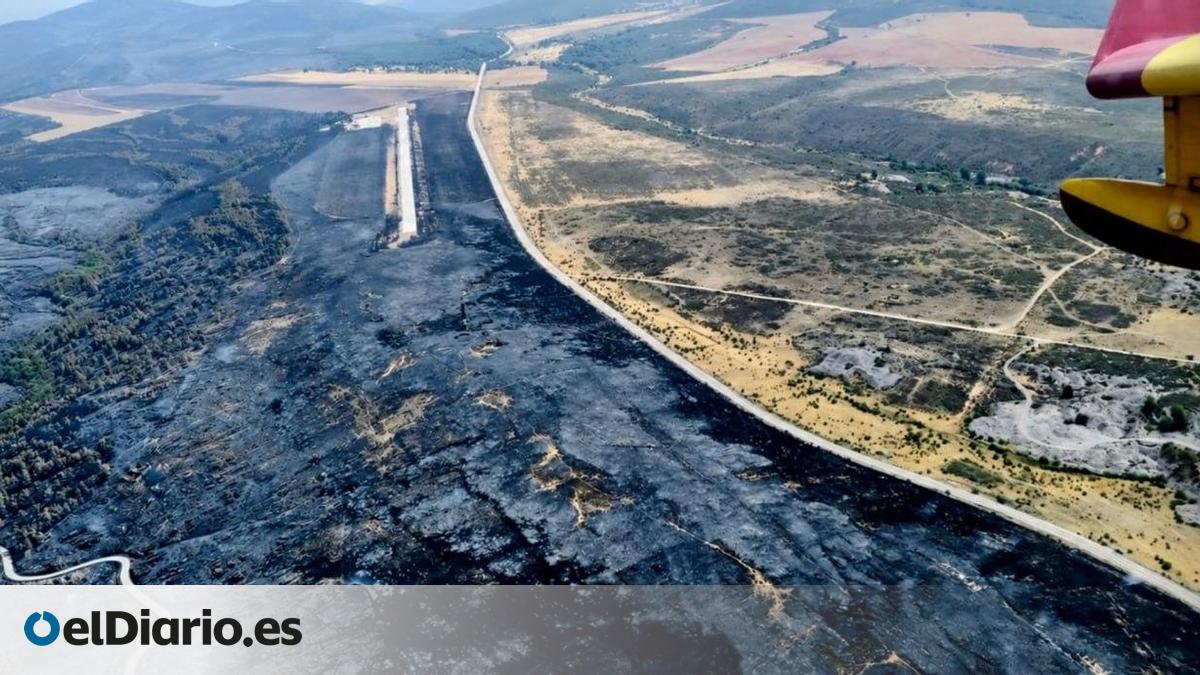 Críticas al incendio forestal provocado por máquina cosechadora en Guadalajara