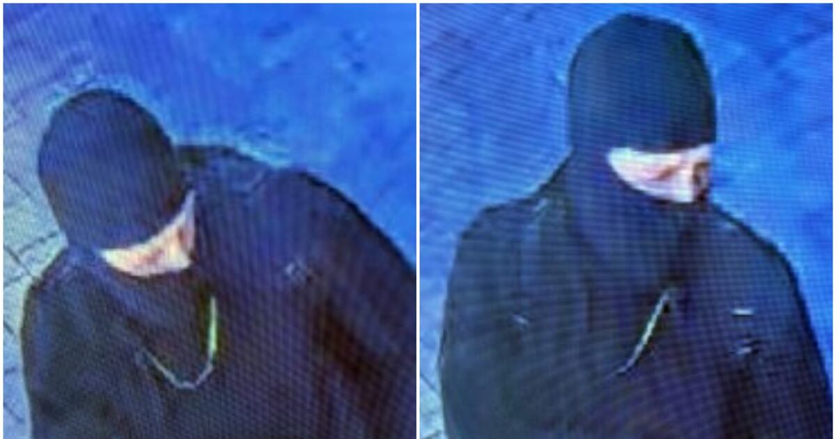 Toronto Police Investigate Alleged Firearms Incident in North York