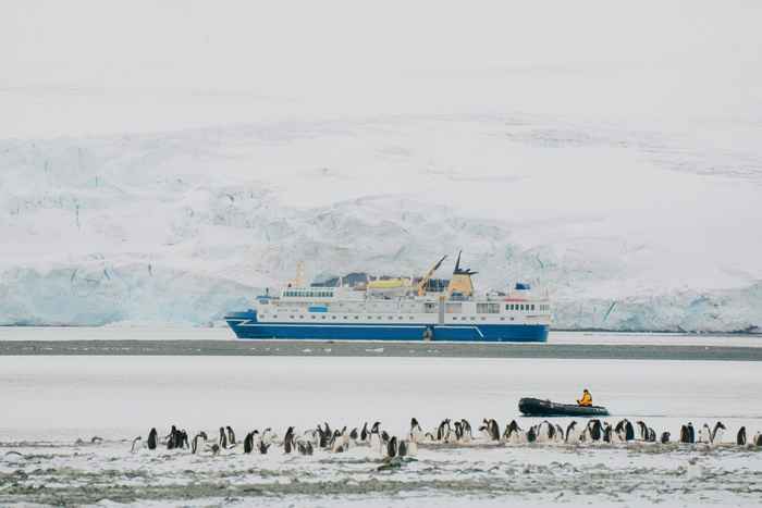 Guías antárticos renuncian tras enfrentar dilemas éticos del turismo de cruceros