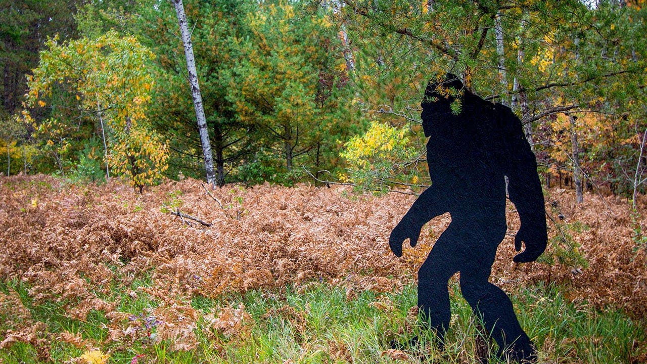 Witness Reports Bigfoot Sighting During Fourth of July Weekend in Connecticut