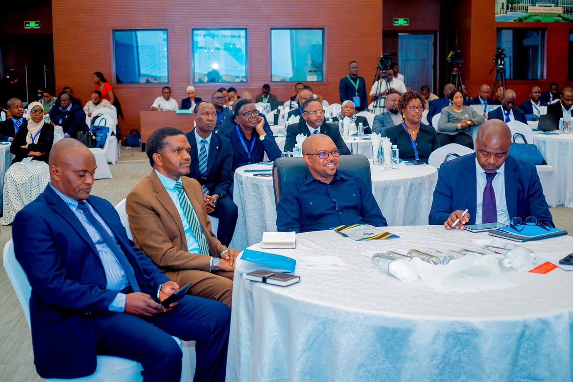 Make Dira 2050 initiative aims to bring real change to Tanzanian citizens