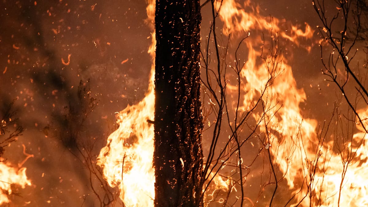 Desmentidas sobre incendios en España: ley de montes y 'red terrorista'