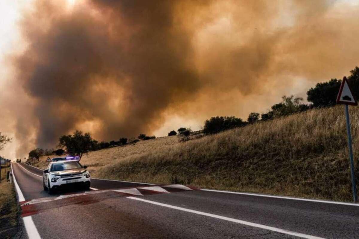 Cooperación internacional entre Portugal y España frente a incendios forestales en Ávila