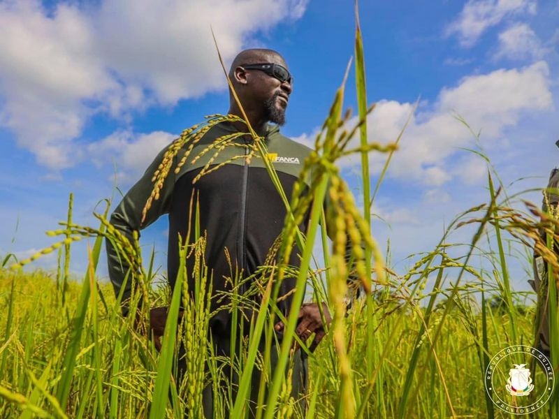 L'agriculture en Guinée pourquoi ça ne marche pas