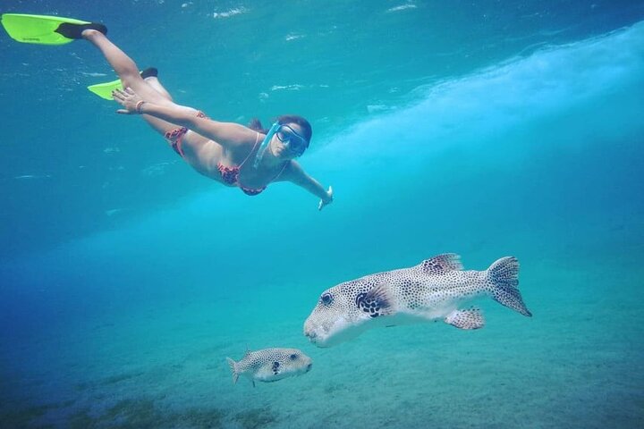 MARSA ALAM - Abu Dabbab
