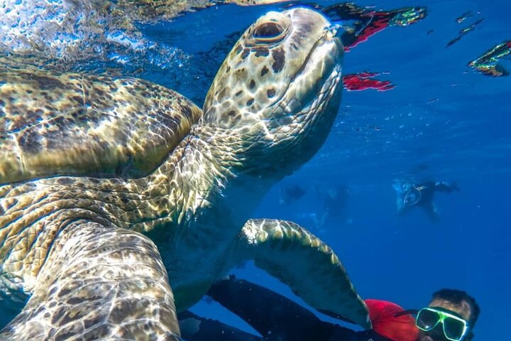 MARSA ALAM - Abu Dabbab