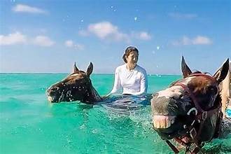 Balade à Cheval à Hurghada avec Baignade