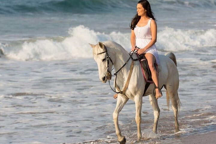 Balade à Cheval à Hurghada avec Baignade