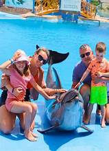 🐬 DOLPHIN SHOW – Hurghada - Une Expérience Familiale Incroyable avec les Dauphins ✨🐬