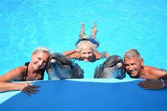 Séance Photo avec les Dauphins à Hurghada. Une Rencontre Magique & des Souvenirs Inoubliables ✨