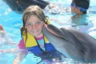 Séance Photo avec les Dauphins à Hurghada. Une Rencontre Magique & des Souvenirs Inoubliables ✨