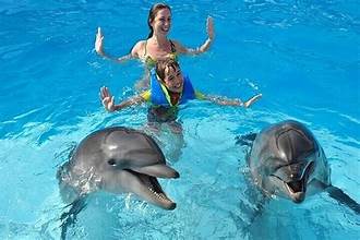 Séance Photo avec les Dauphins à Hurghada. Une Rencontre Magique & des Souvenirs Inoubliables ✨