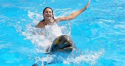 🐬 Nager avec les Dauphins à Hurghada Une Expérience Unique au Cœur de la Mer Rouge ✨🌊