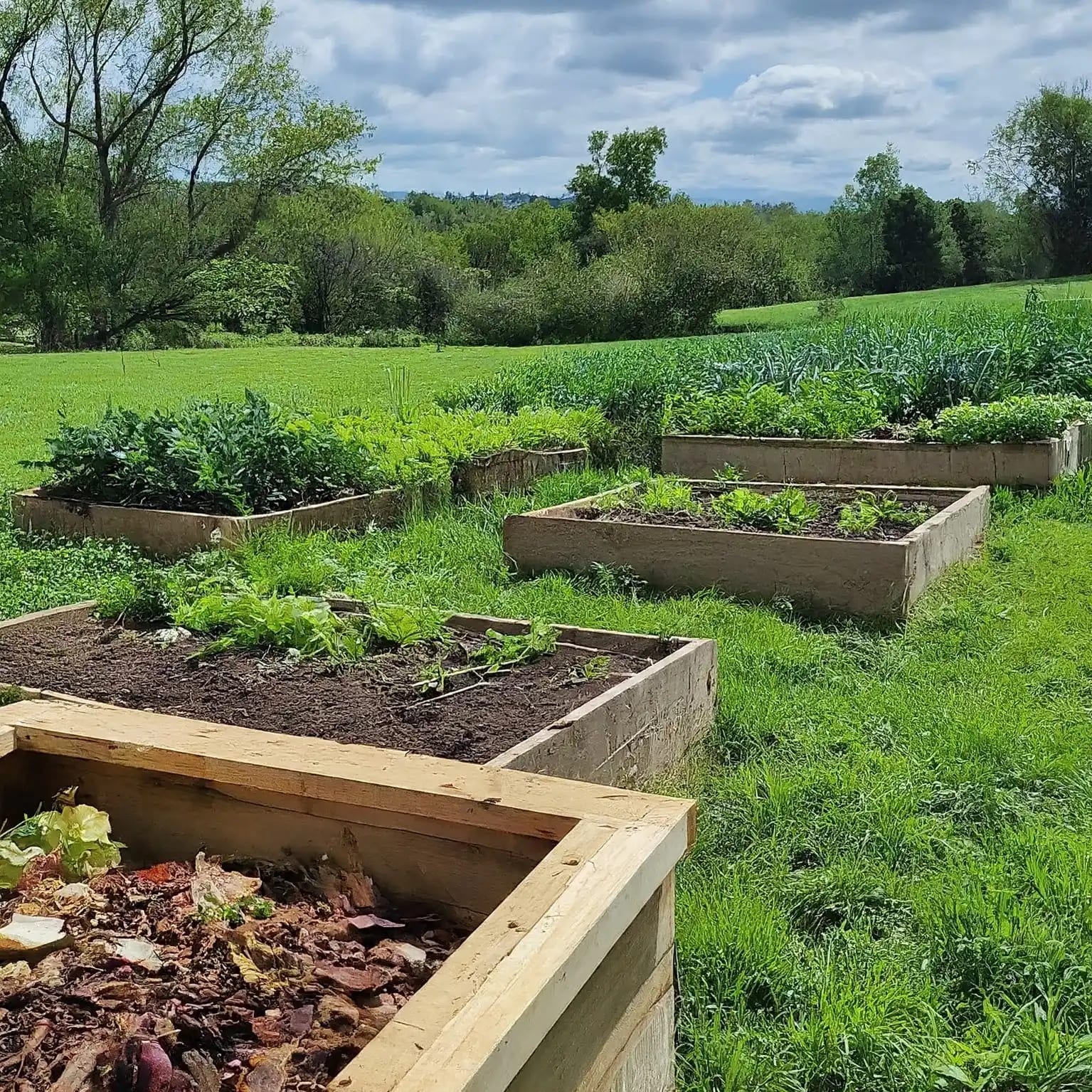 Composting on a Global Scale Cultivating a Sustainable Future with