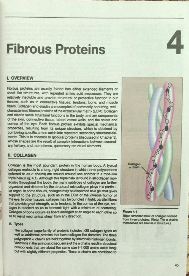 Lippincott Biochemistry| Latest Edition 2026-27 - Image 3