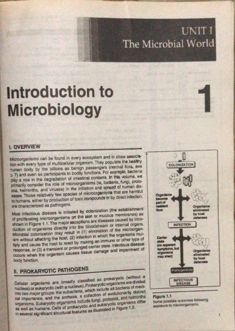 Lippincott Microbiology| Latest Edition - Image 3