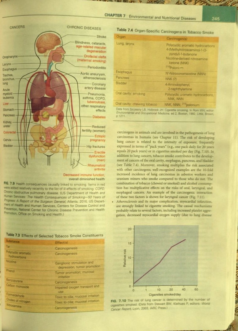 ROBBINS PATHOLOGY| LATEST 11th EDITION 2025 - Image 3