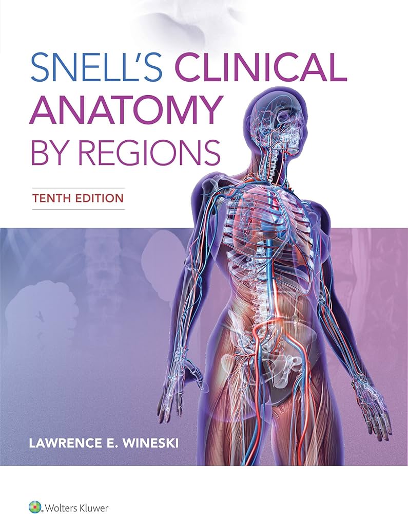 SNELLS ANATOMY; Snells Clinical Anatomy| Latest Edition - Image 2