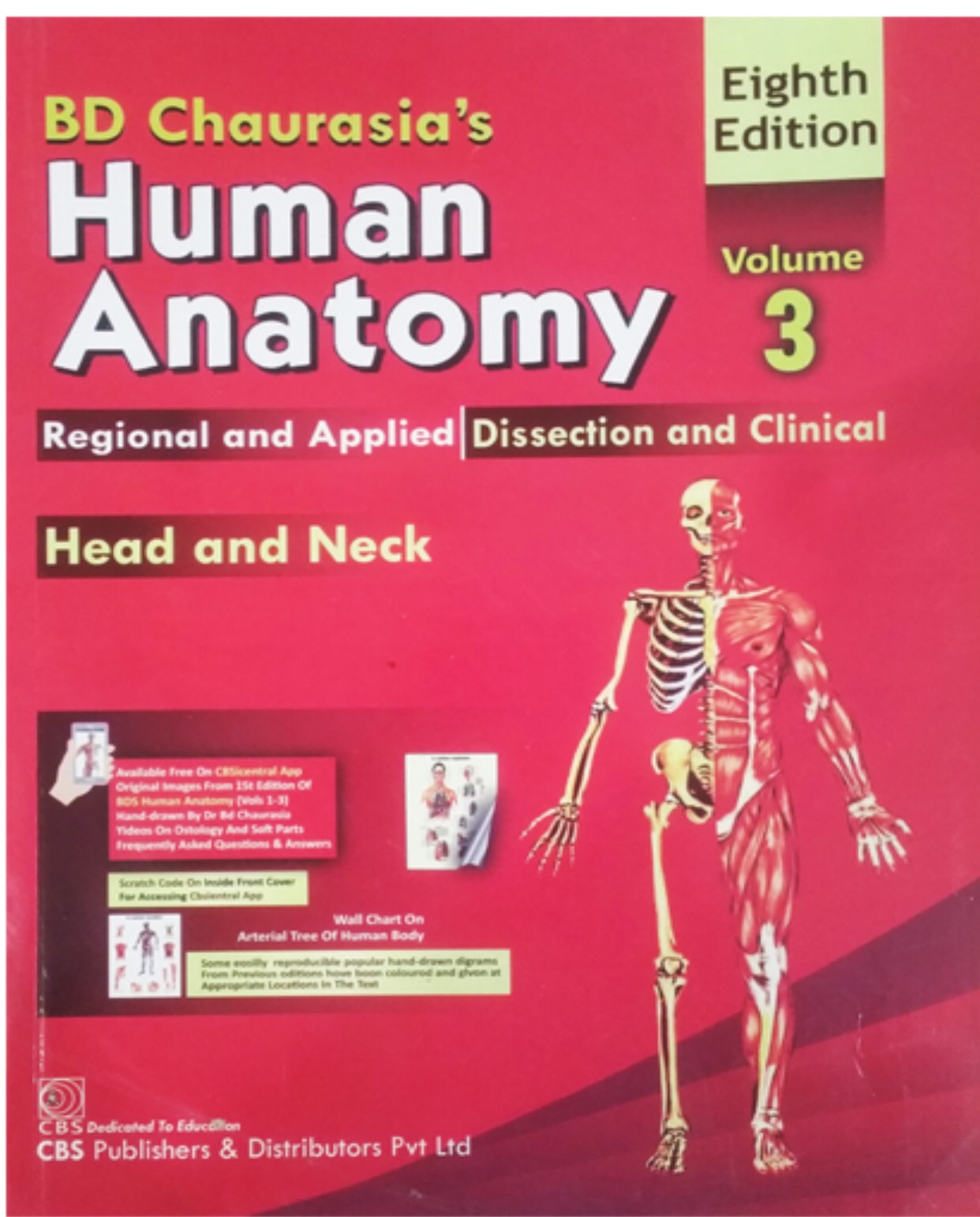 Human Anatomy Head and Neck