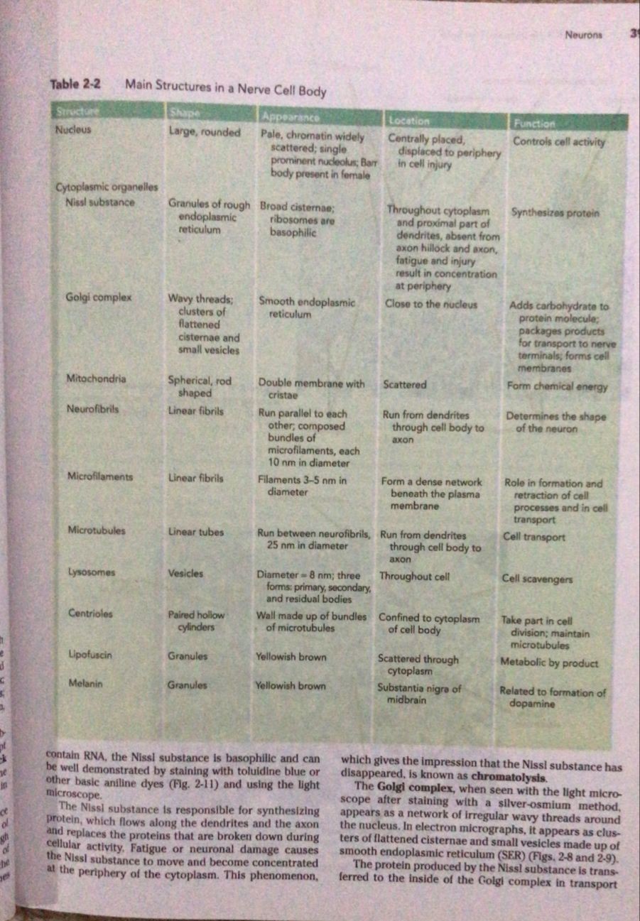 Snells Clinical Neuroanatomy| Latest 10th Edition - Image 3