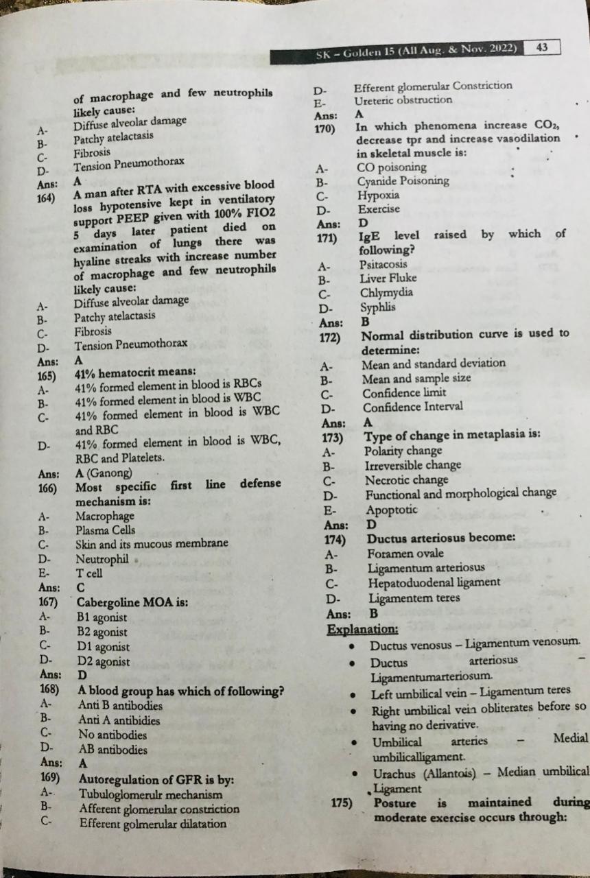 Sk 17| GOLDEN mini-17; latest edition - Image 3