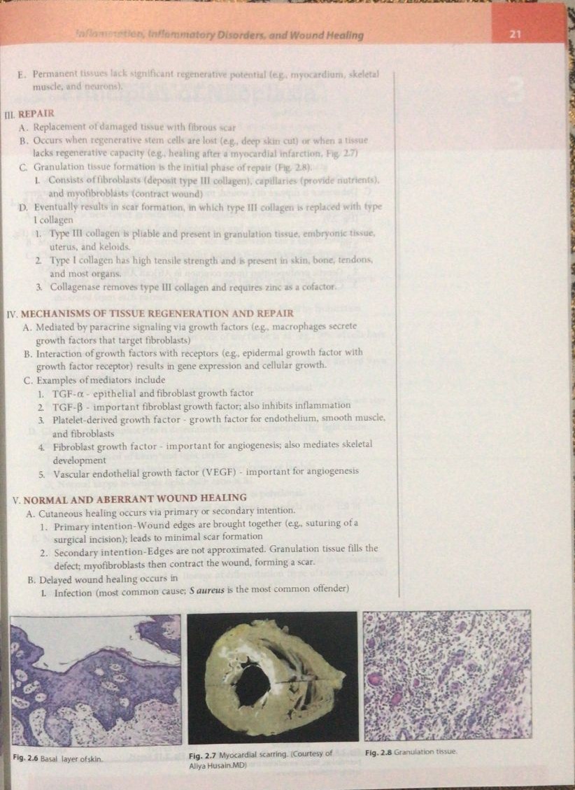 PATHOMA: FUNDAMENTALS OF PATHOLOGY| LATEST EDITION 2026 - Image 3