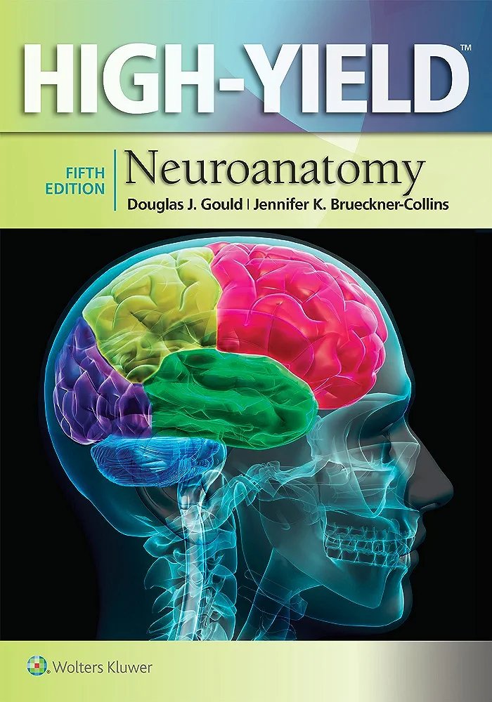 High yield Neuroanatomy