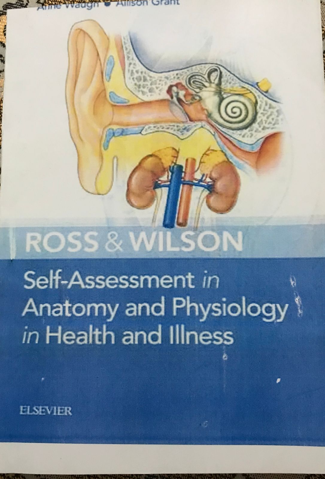 Ross and Wilson MCQs: SELF ASSESSMENT IN ANATOMY AND PHYSIOLOGY| LATEST EDITION - Image 2