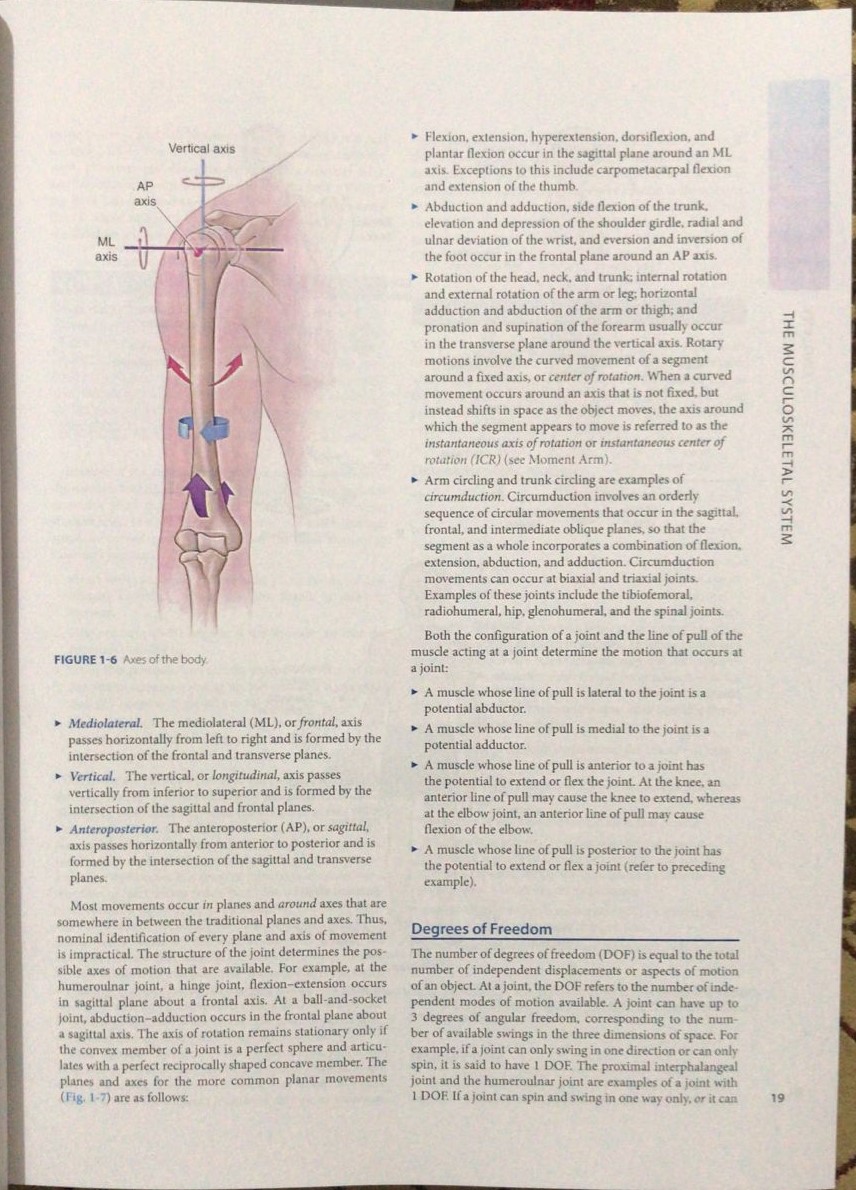 Dutton's Orthopaedic: Examination, Evaluation and Intervention| Latest Edition - Image 3