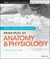 Principles of anatomy and physiology; Gerard j. Tortora| Latest Edition - Image 2