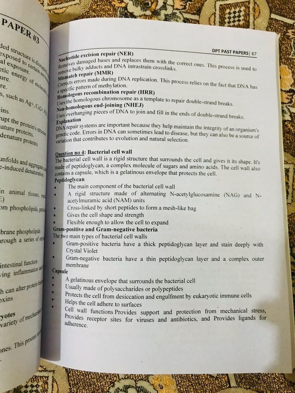 GCUF DPT PAST PAPERS 3rd & 4th Semester| BEST SELLING 2025 - Image 3