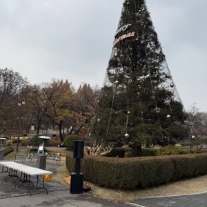 연세대학교 성탄절 행사