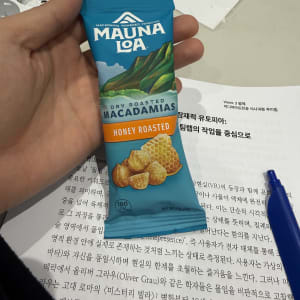 신입생 스터디 현장