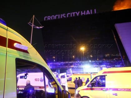 Путин пожелал всем пострадавшим в результате теракта в 