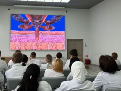 Клещи. Чем они опасны и как защитить, себя в период их активности?