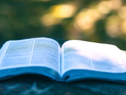 Вячеслав Володин: ГД в приоритетном порядке рассмотрит законопроект о защите русского языка