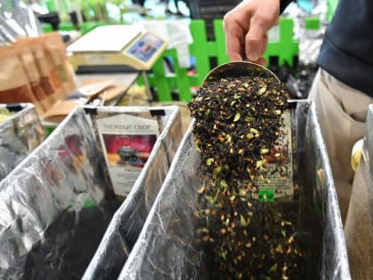 Фестиваль Green City пройдет на ВДНХ с 29 августа по 1 сентября