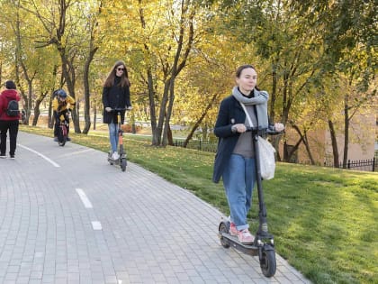 Вячеслав Володин предложил обсудить введение ограничений для электросамокатов