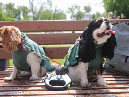 Грозы и 20-градусное тепло: какая погода ждет москвичей в первую неделю апреля