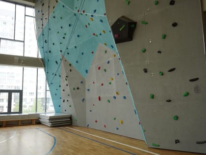 Специалисты рассказали о доступных видах спорта для юных москвичей