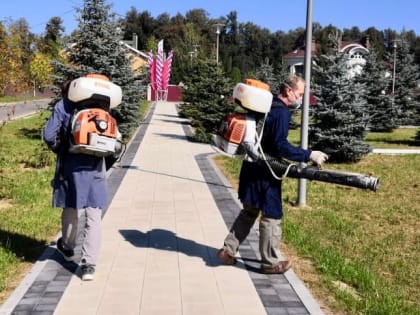 Дезинсекционная обработка в Десеновском