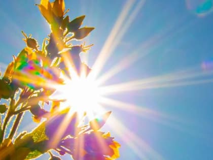 Пусть всегда будет солнце: как отметят День летнего солнцестояния в московских экоцентрах