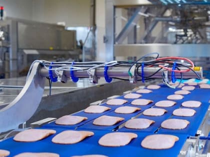 В ТиНАО предоставили почти 240 гектаров земли для инвестпроектов