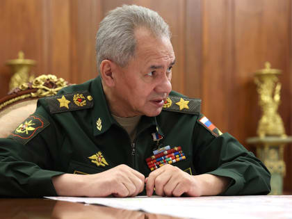 Путин назначил секретаря Совбеза Шойгу координатором работы по развитию ОПК